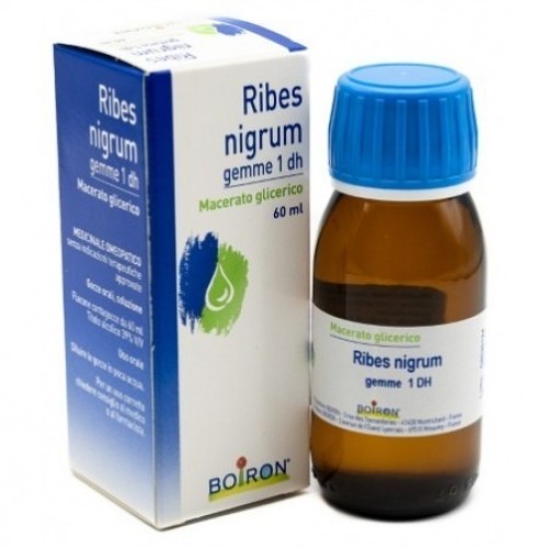 RIBES NIGRUM GEMME 60ML MG BO