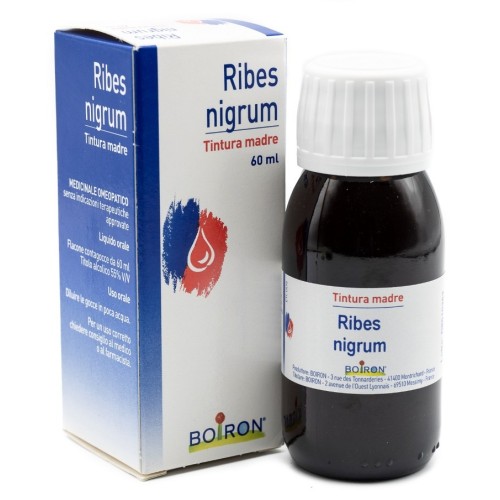 RIBES NIGRUM 60ML TM BO