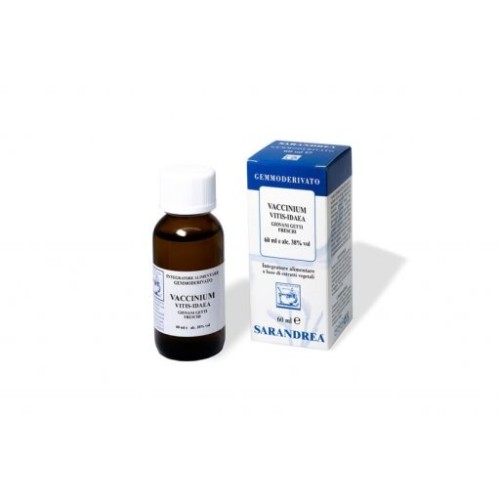 VACCINIUM VITIS/IDAEA 60ML MG VACCINIUM VITIS/IDAEA 60ML MG
