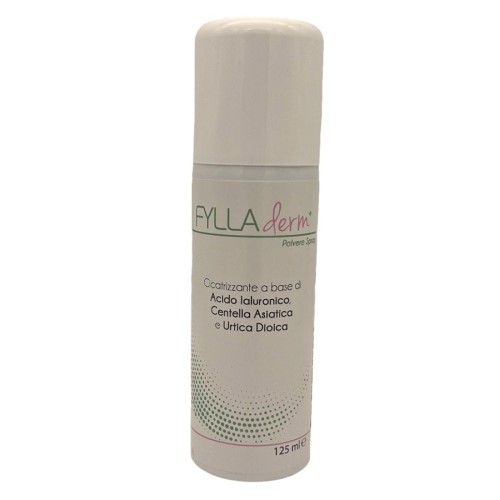 FYLLADERM POLVERE SPRAY 125ML FYLLADERM POLVERE SPRAY 125ML