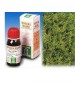 SP.CUPRESSUS SEMP. TM 50ml