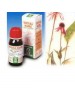 SP.ECHINACEA ANGUS. TM 50ml