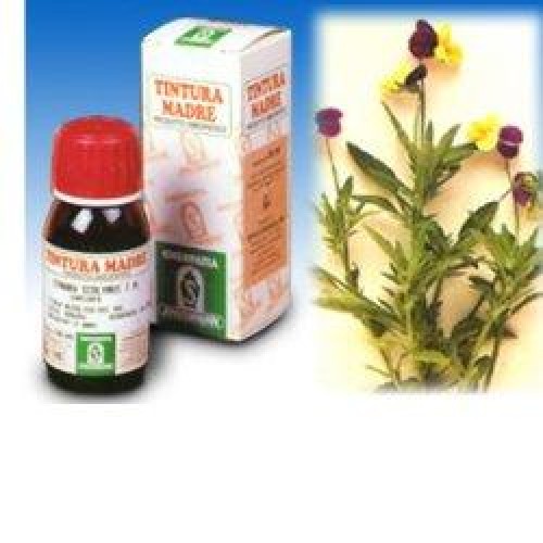 SP.VIOLA TRICOLOR TM 50ml