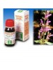 SP.SALVIA OFF.TM  50ml