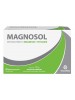 MAGNOSOL 20 BUSTE EFF