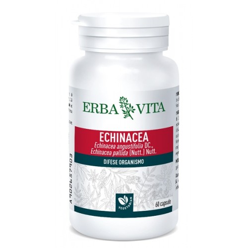 ECHINACEA  60 Cps 500mg    EBV