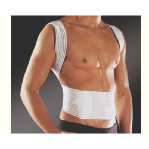 PAVIS Raddrizzaspalle 576 XL