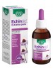 ECHINAID Estr.Liq.50ml