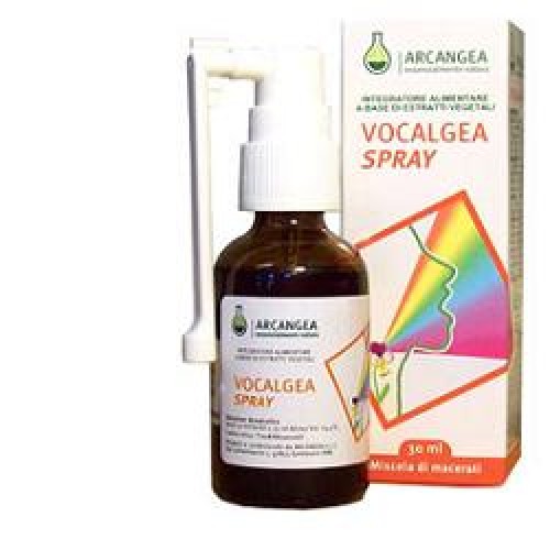 VOCALGEA Spray Sol.Ial.ACN