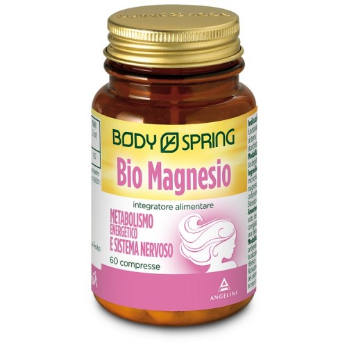 BS BIO MAGNESIO 60CPR 1100MG