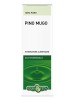 PINO MUGO Olio Ess.10ml EBV