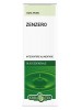 OLIO Ess.Zenzero 10ml      EBV