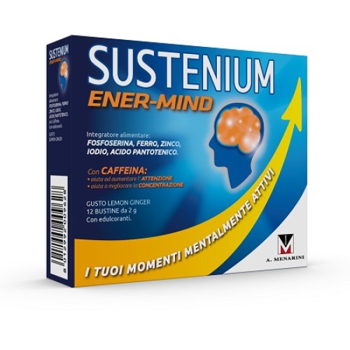 SUSTENIUM MEMO ENERGY BREAK 12