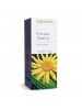 CREMA ARNICA 75ML ERBAMEA