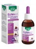 ECHINAID ESTR LIQ ANALC 50ML ESI