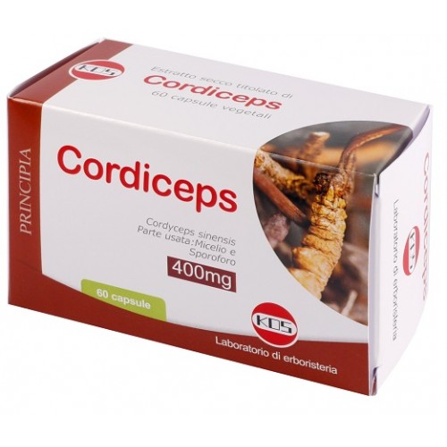 CORDICEPS ESTR SECCO 60CPS KOS