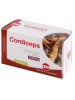 CORDICEPS ESTR SECCO 60CPS KOS