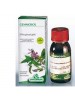 SP.RIBES NIGRUM 1DH Gemme 50ml