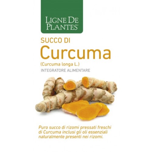 CURCUMA Bio Succo 250ml NSE