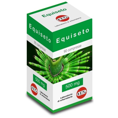 EQUISETO 90CPR KOS