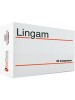 LINGAM 30 Cpr