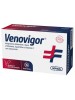 VENOVIGOR 20BUST