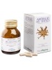 ARTIGLIO DIAV. 50 Cps PRP