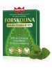 FORSKOLINA 15 Cpr WINTER