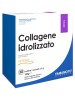 YAMAMOTO R COLLAGENE IDR30BUST