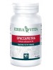 SPACCAPIETRA 60 Cps 500mg  EBV
