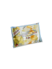 LENIDERM Wipes Pocket 20pz