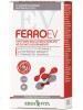 FERRO EV Retard 30 Cpr     EBV