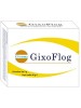 GIXOFLOG 16 Bust.3g