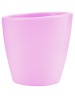 CH Bicchiere Sil.Rosa 6m+ CH Bicchiere Sil.Rosa 6m+