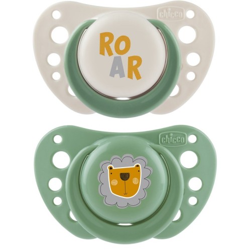 CH Succh.Air Sil.Verde2-6m+2pz CH Succh.Air Sil.Verde2-6m+2pz