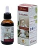 ELIKONIS GOCCE 50ML