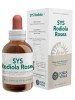 SYS RODIOLA Sol.Ial.50ml FVT