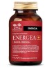 SALUGEA ENERGEA+ 60Cps