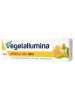 VEGETALLUMINA Arnica Gel 100ml