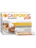 CASPONGIL STICK 20Stick Pack