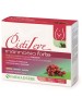 CISTILEVE MANNOSIO FTE 12BUST.