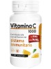 SANAVITA VITAMINA C 60CPR