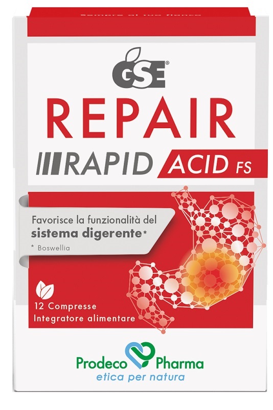 GSE Repair Rapid Acid 12*Cpr